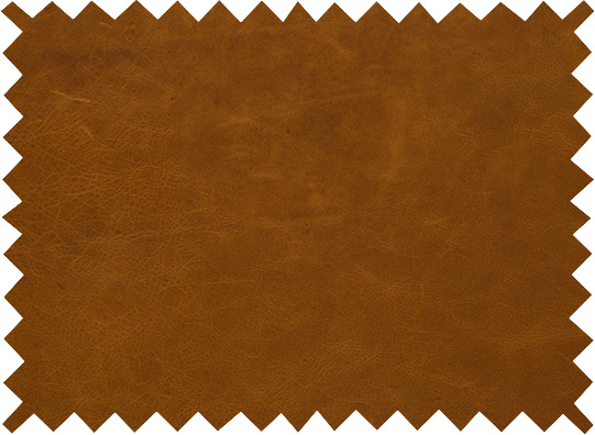 Osca Camel