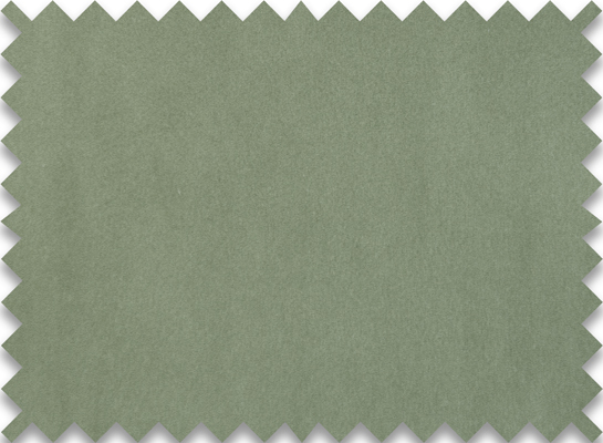 Royal Velvet sage green