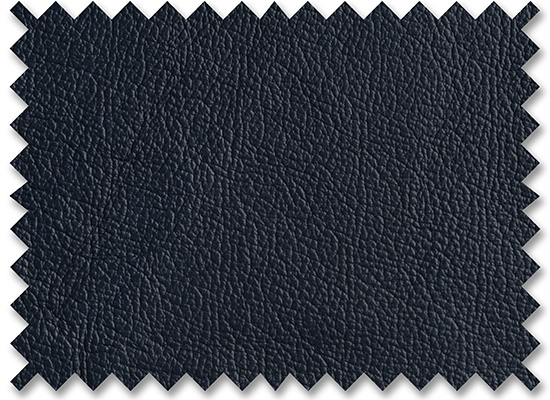 Birch Navy