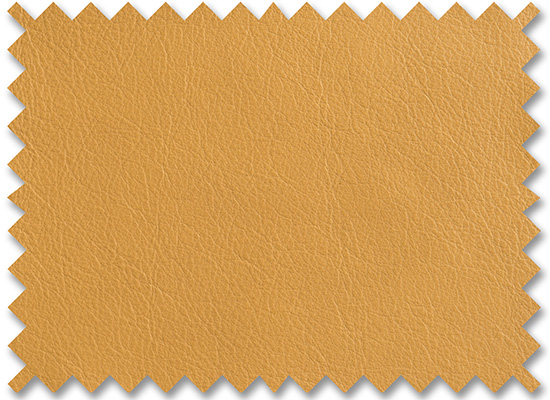 Lena Mustard