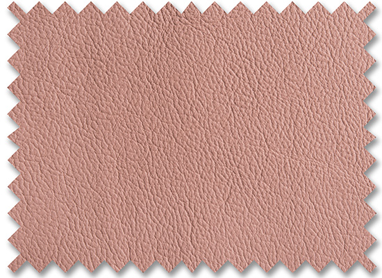Birch Wild Cherry