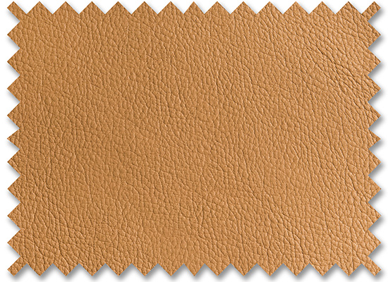 Birch Biscuit